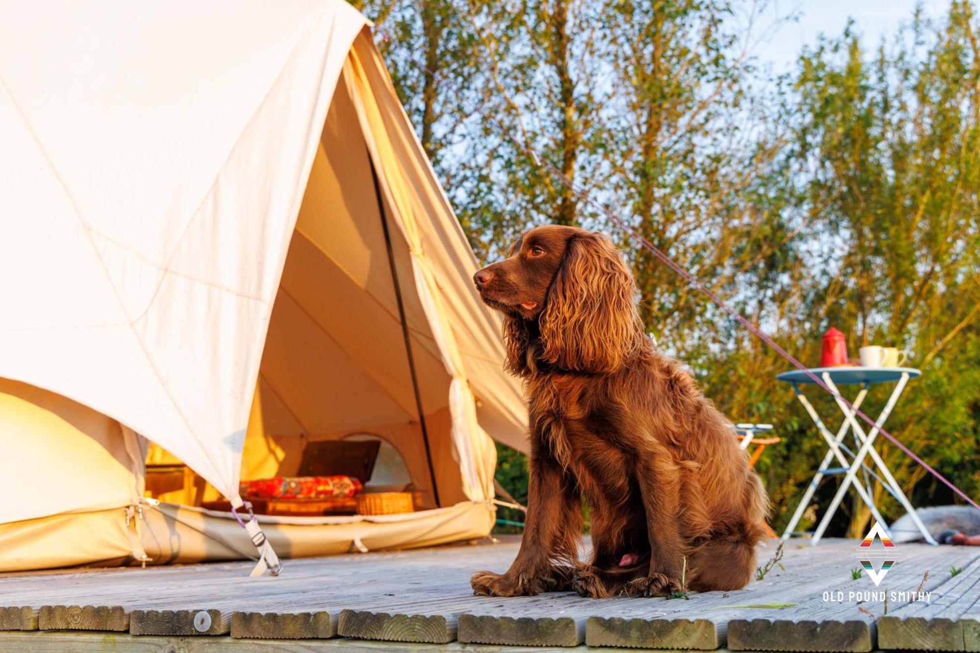 Luxury tent Old Pound Smithy
